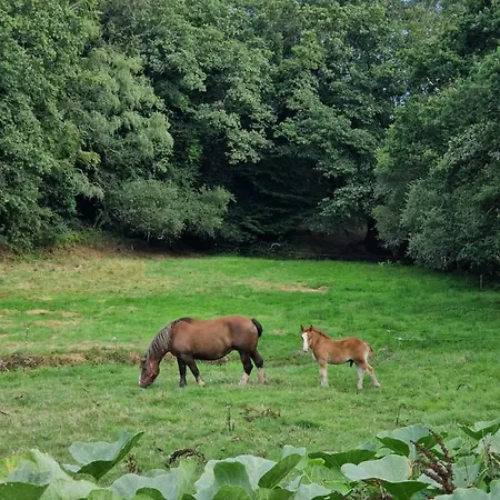 Familiale 5 Dans Un Ecrin De Verdure A 15 Mns Des Plages 빌라 멜락